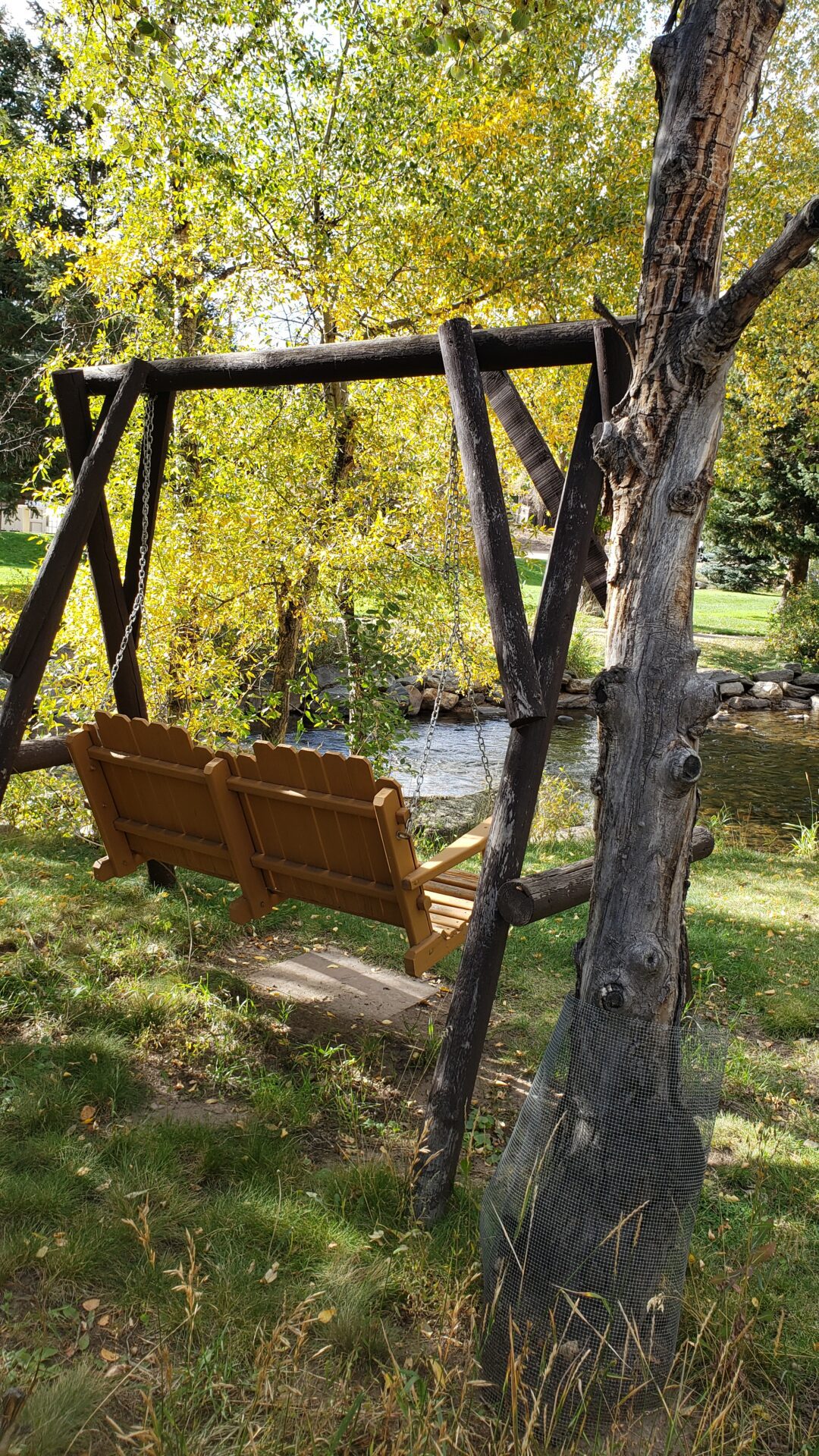 Riverside Retreat Cabin Riverview Swing
